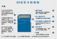 SD卡结构