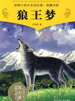 母狼紫岚,沈石溪畅销作品《狼王梦》中的主角