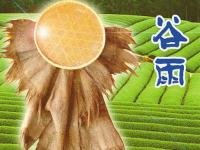 今日6时03分“谷雨”到来 祭仓颉食香椿迎农忙 - 秋雨 - 秋雨的博客 今日6时03分“谷雨”到来 祭仓颉食香椿迎农忙 - 秋雨 - 秋雨的博客