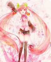 樱花miku同人系列 火影同人樱花舞 柯南同人之