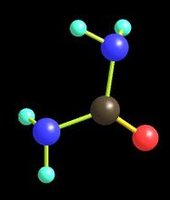 尿素分子模型