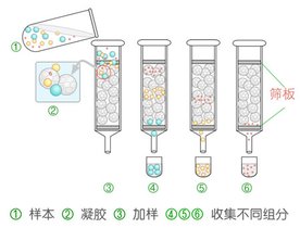 大话西游<em>3女妖</em>门派_大话西游3那门派_大话西