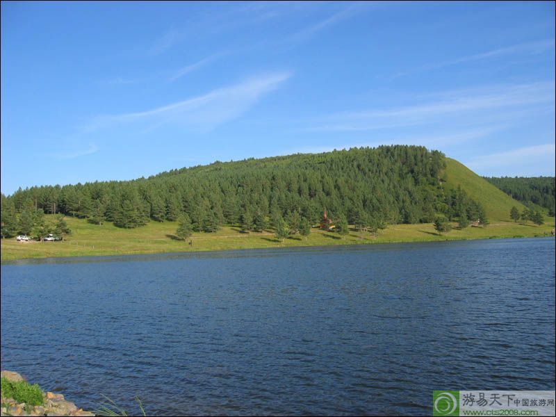 是防风固沙的先锋树种和北方地区园林绿化的优