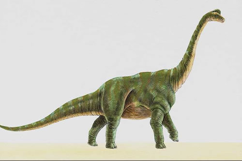白垩纪恐龙0030 