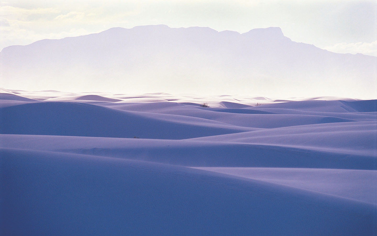 纳米布沙漠奇景：550米沙丘如汹涌海浪，八千年无人定居 - 知乎