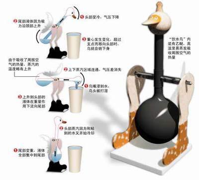 饮水鸟制作过程图