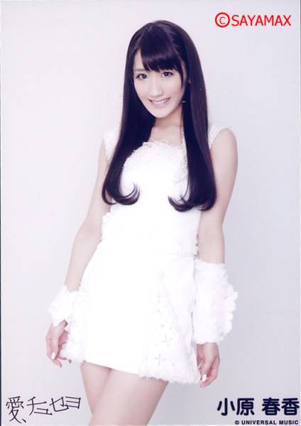 ダルク(<em>早乙女美树</em>降格后)