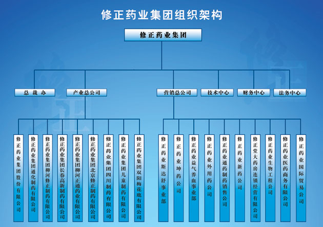 吉林修正药业集团_360百科