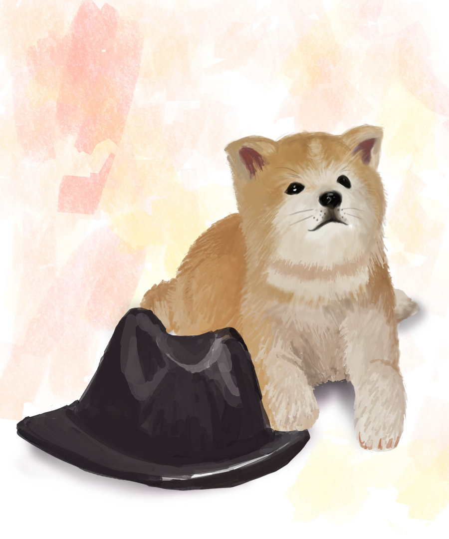 \忠犬八公\生活在秋田县大馆市大子内的齐藤