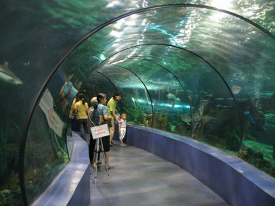太原迎泽公园海底世界