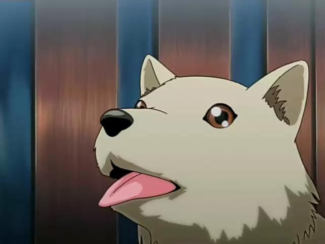 <em>冰妹</em>陪嗨_观看<em>冰妹陪人溜冰</em>_双姐妹<em>陪人溜冰</em>