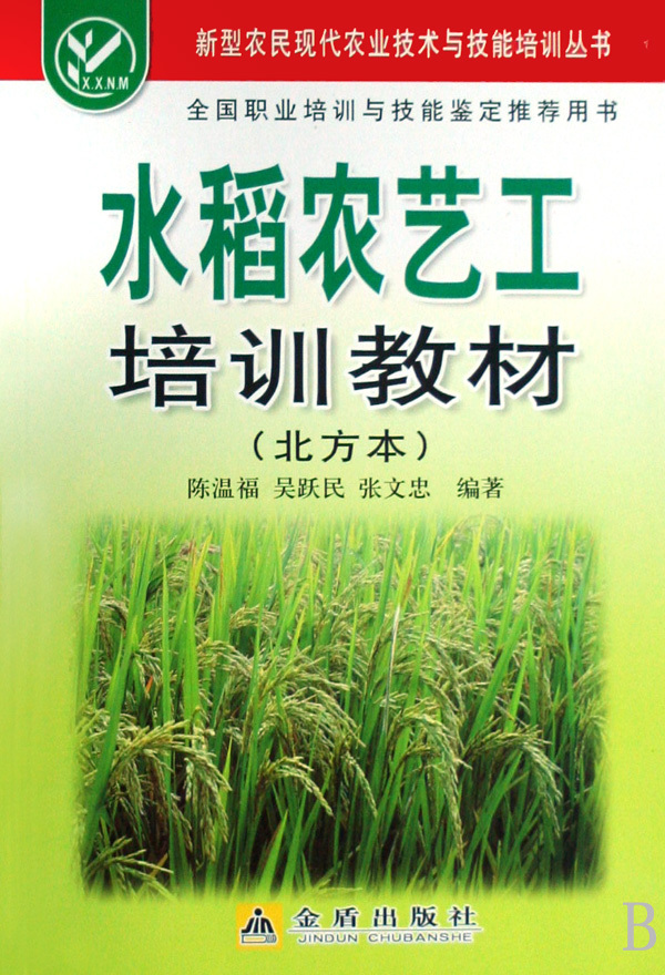 人口与粮食问题_人口问题(3)