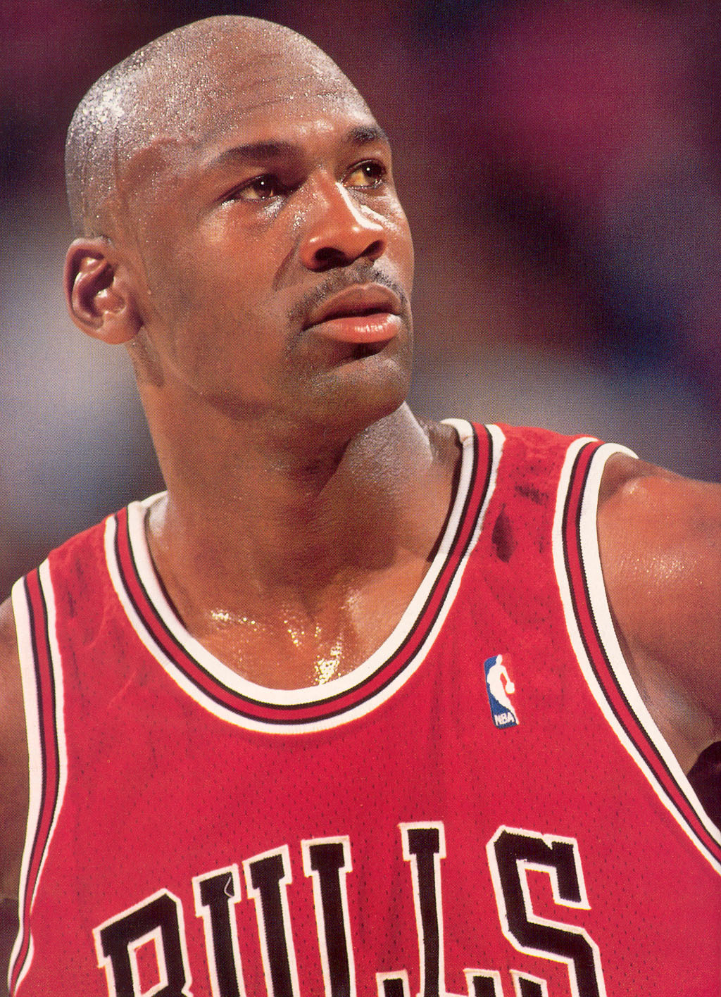 公牛队23号乔丹33号皮蓬