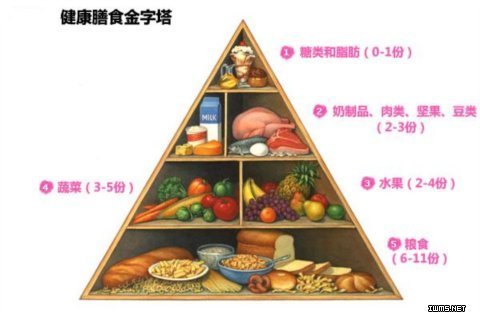 食物金字塔