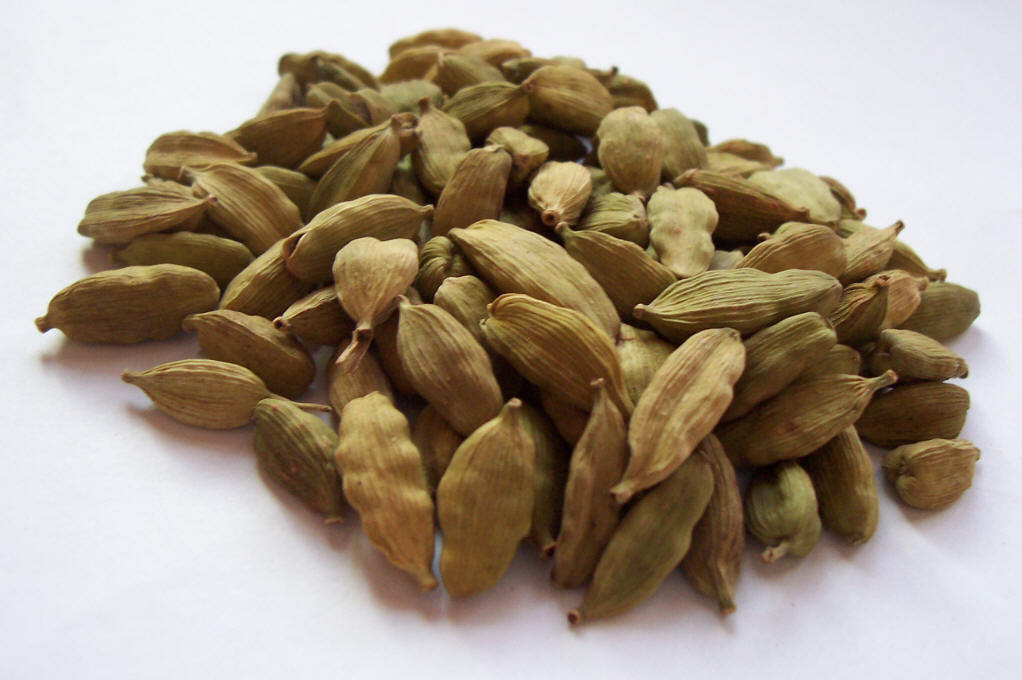 小豆蔻_好搜百科