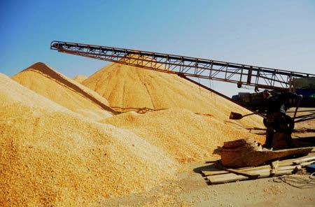 中储粮河南粮库腐败大案