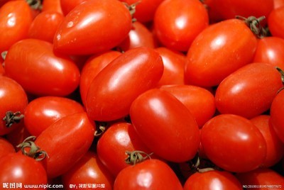 西红柿果实类型图片