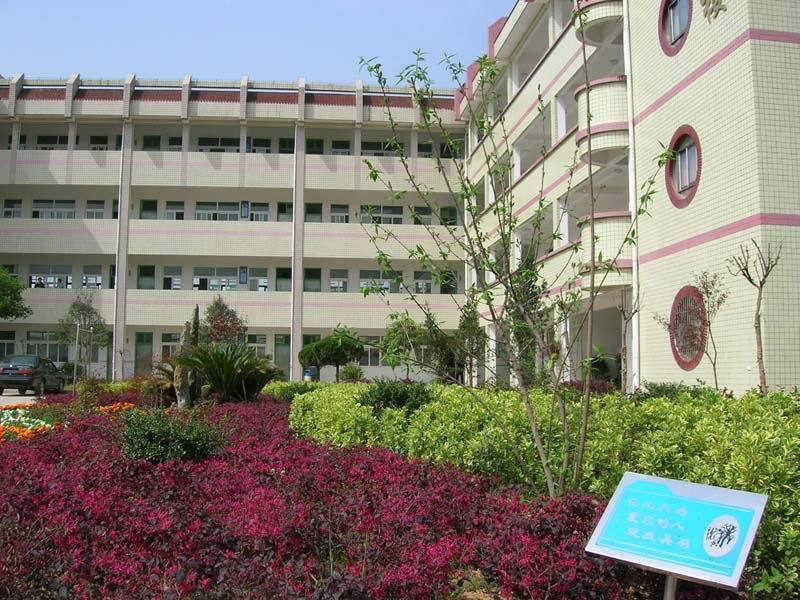 浅谈农村高中《体育与健康》选项教学中存在的问题