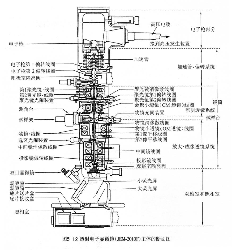 掃描電子顯微鏡和透射電子顯微鏡分析