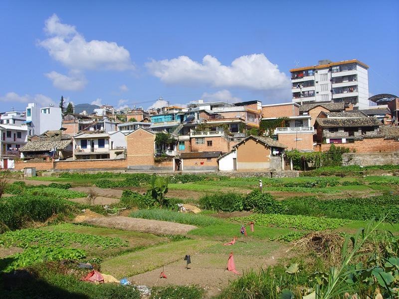 中平二村隶属于云南省凤翔街道办事处中平社区,属于坝区,距离嚼道