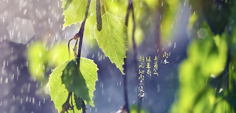 雨水