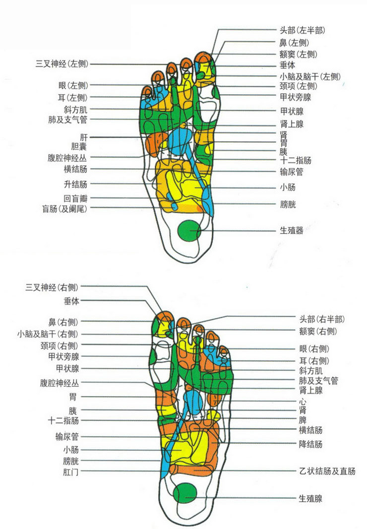 電動洗腳盆按摩腳底各個穴位